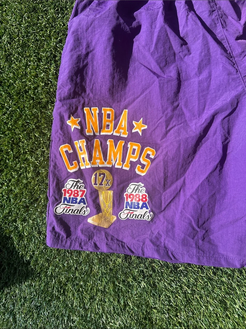 Mitchell & Ness Purple Los Angeles Lakers NBA Champs Shorts
